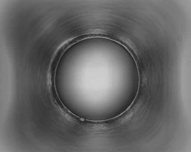 X0000112910979200908311234