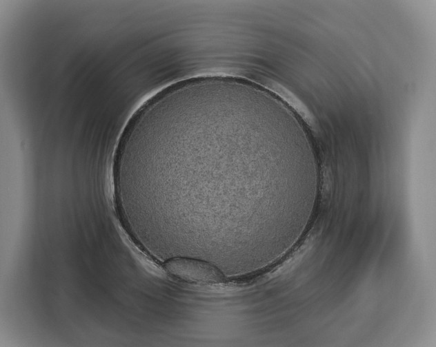 X0000112910980200908311234