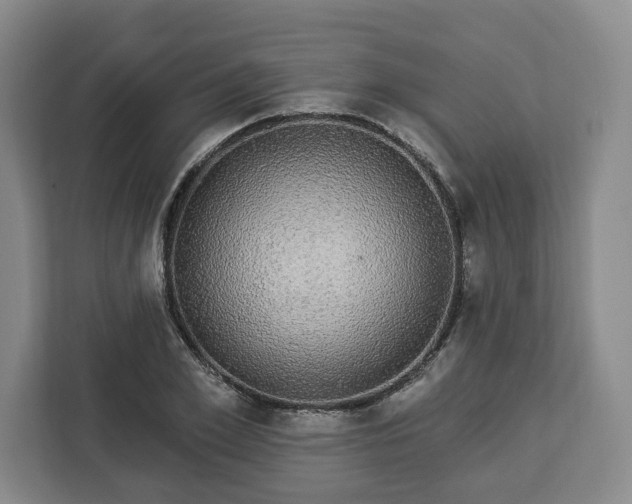 X0000112910981200908311234