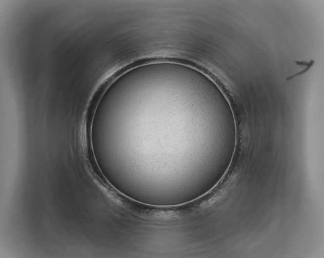 X0000112910982200908311234