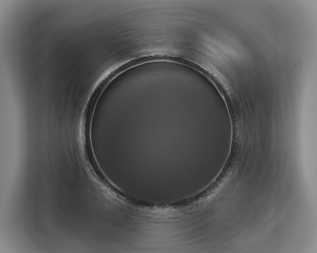 X0000112910983200908311234