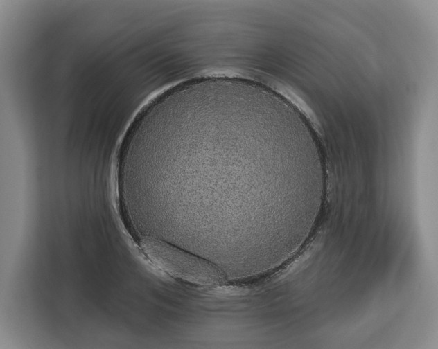 X0000112910984200908311234