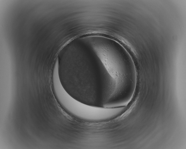 X0000112910985200908311234