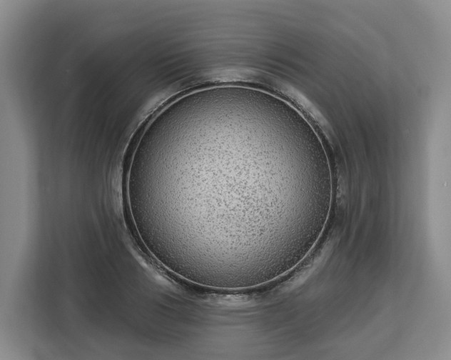 X0000112910986200908311233