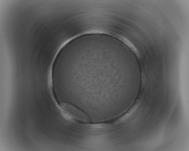 X0000112910988200908311233