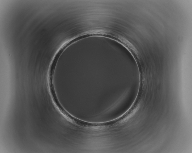 X0000112910989200908311233