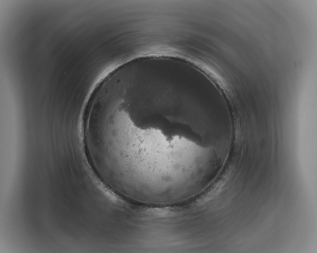 X0000112910990200908311233