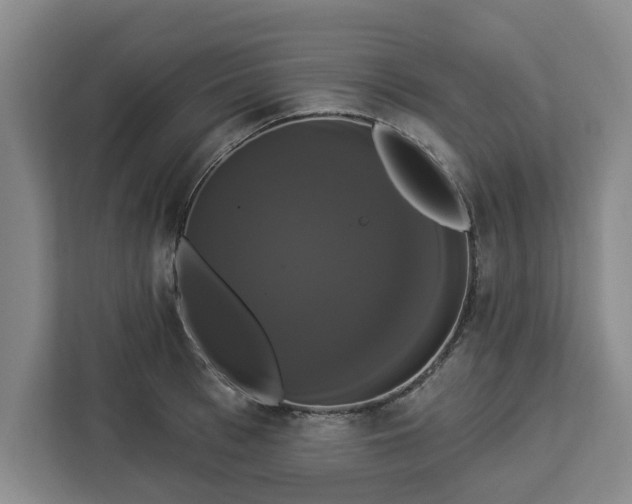 X0000112910993200908311233