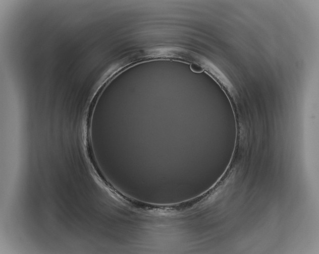 X0000112910994200908311233