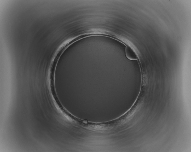 X0000112910995200908311233