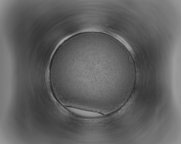 X0000112910996200908311233