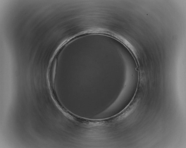 X0000112910997200908311233