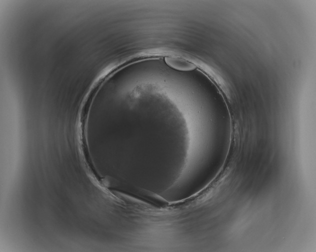 X0000112910998200908311233