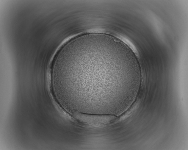 X0000112911000200908311233