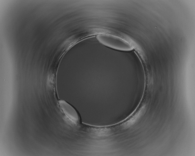 X0000112911001200908311233