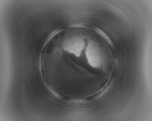 X0000112911002200908311233