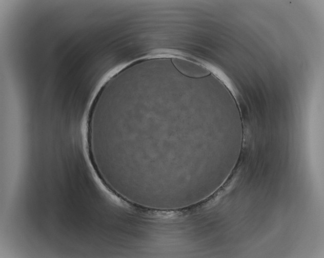 X0000112911003200908311233