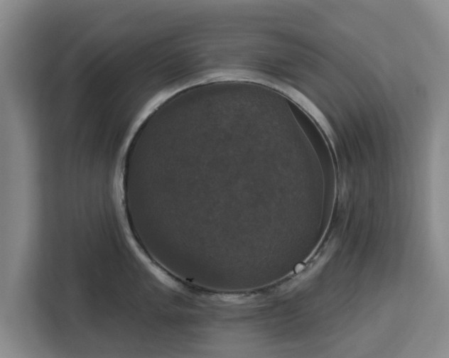 X0000112911005200908311233