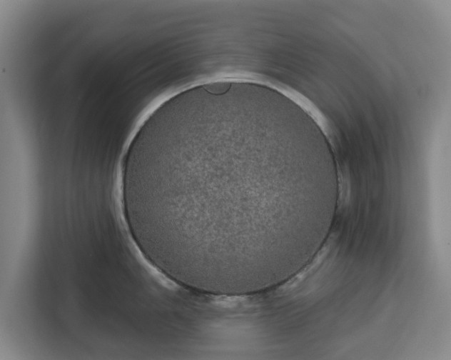 X0000112911006200908311233