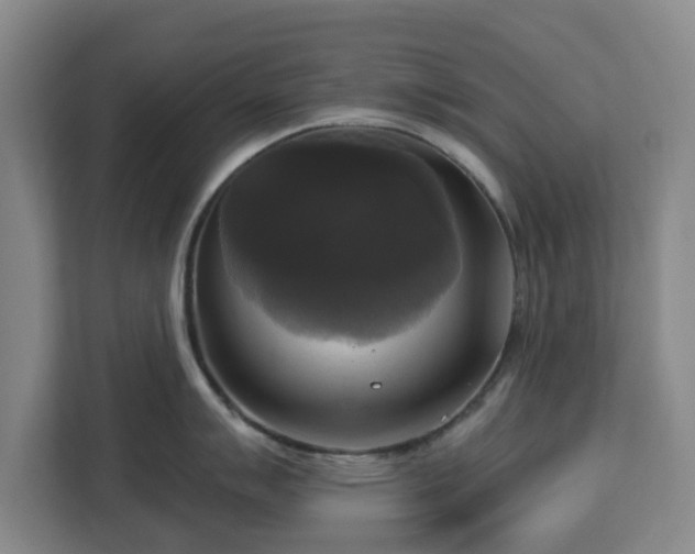 X0000112911007200908311233