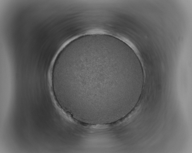 X0000112911008200908311233