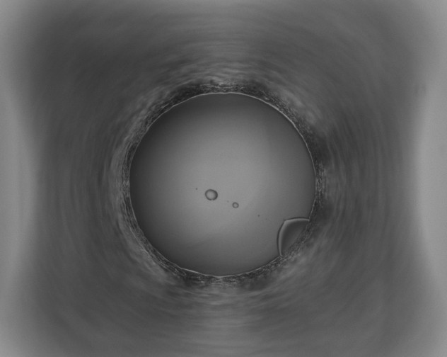 X0000112911009200908311233