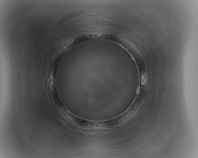 X0000112911011200908311233