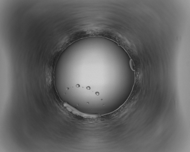 X0000112911012200908311233