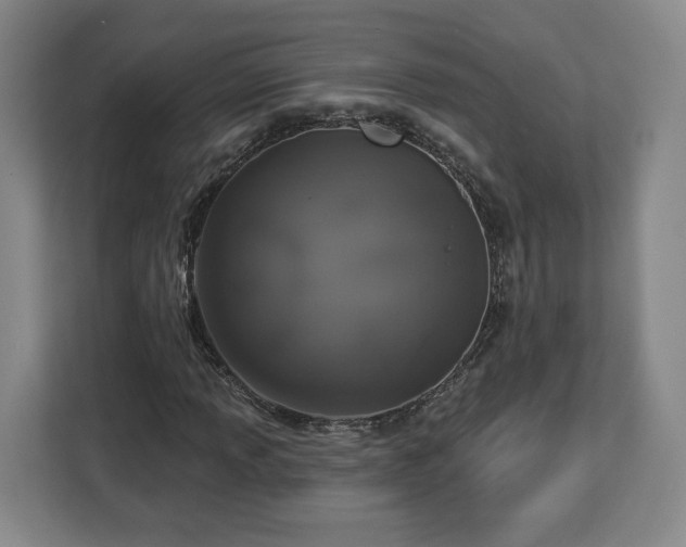 X0000112911013200908311233