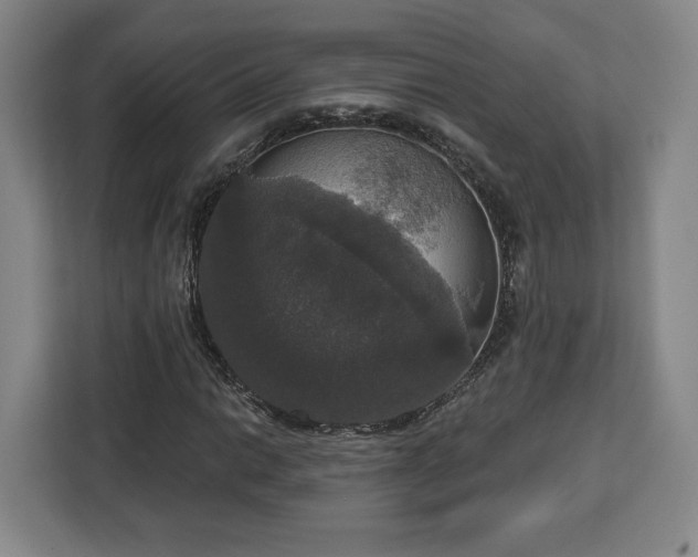 X0000112911014200908311233