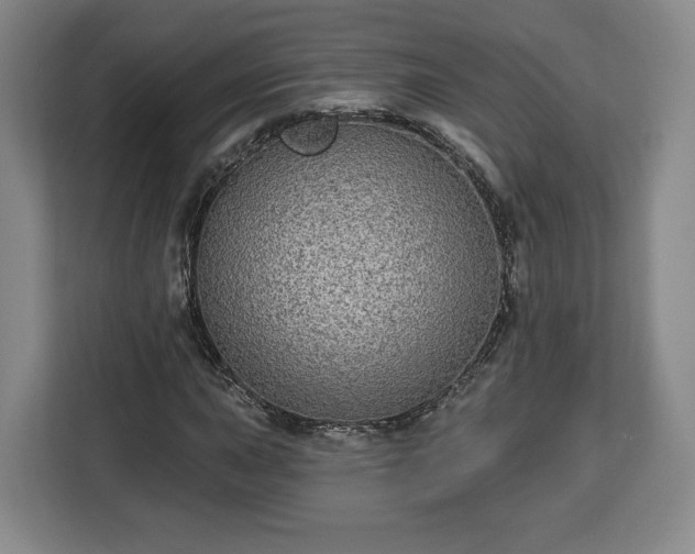 X0000112911015200908311233