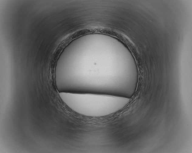 X0000112911016200908311233