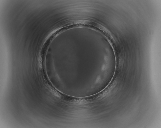 X0000112911019200908311233