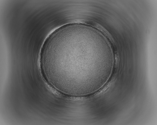 X0000112911020200908311233