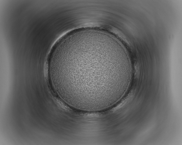 X0000112911021200908311233