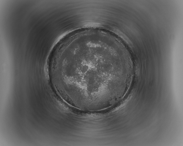 X0000112911022200908311233