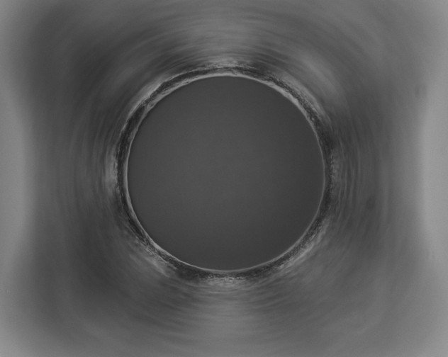 X0000112911023200908311233