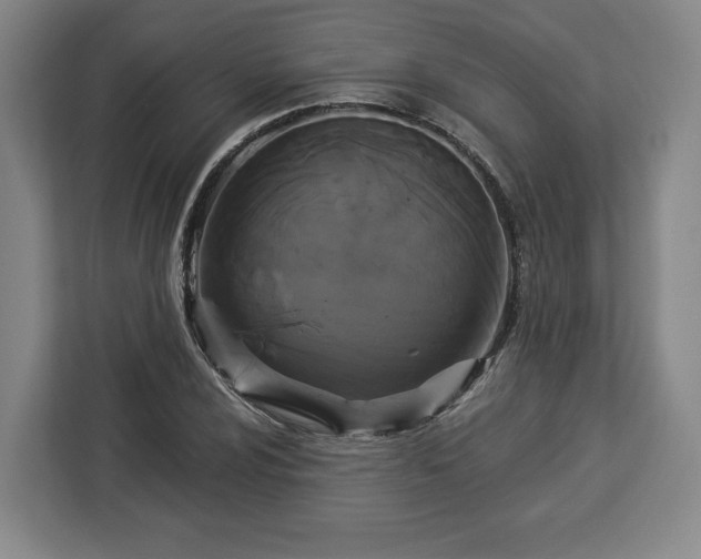 X0000112911024200908311233