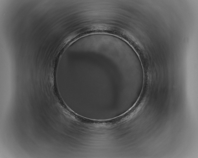 X0000112911025200908311233