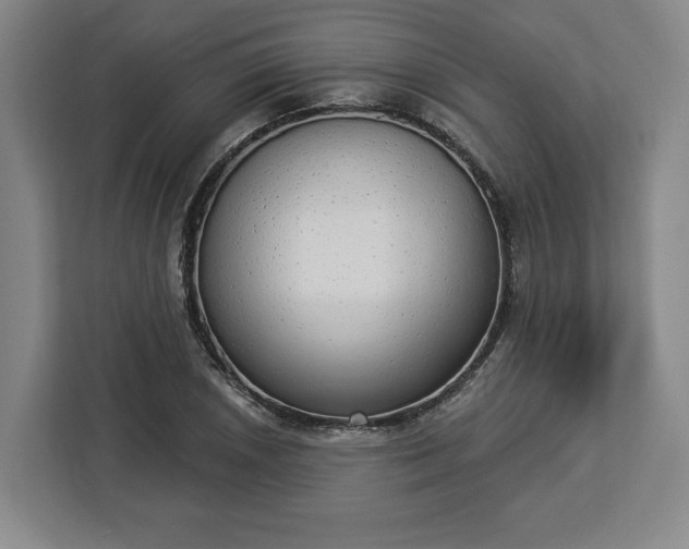 X0000112911026200908311233