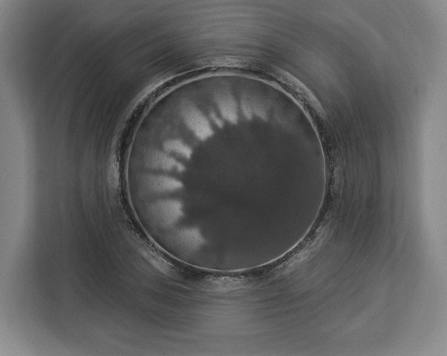 X0000112911027200908311233