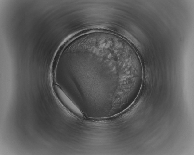 X0000112911028200908311233