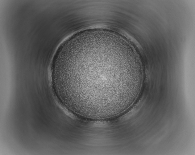 X0000112911029200908311233