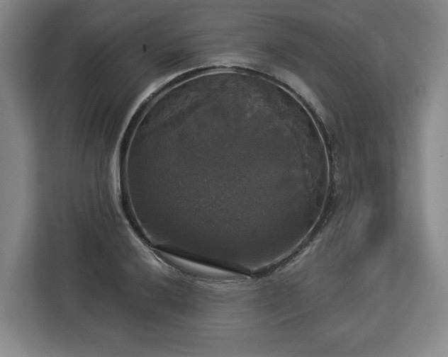 X0000112911032200908311233