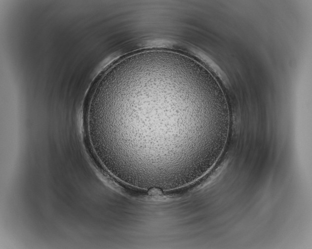 X0000112911034200908311233