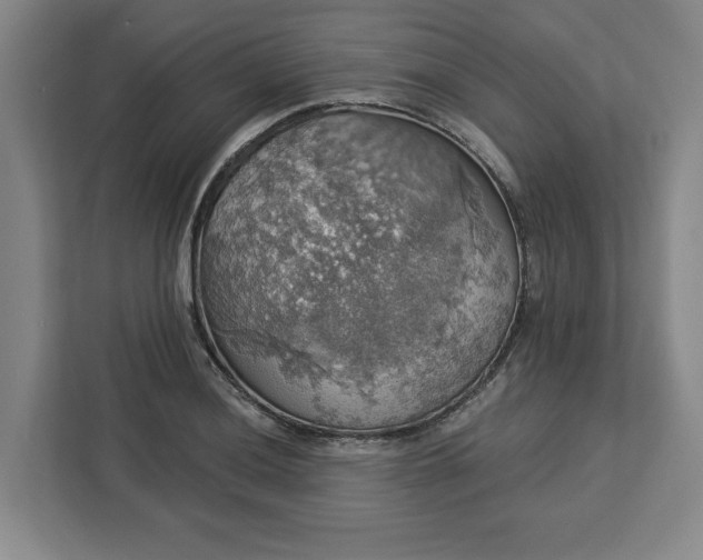 X0000112911036200908311233