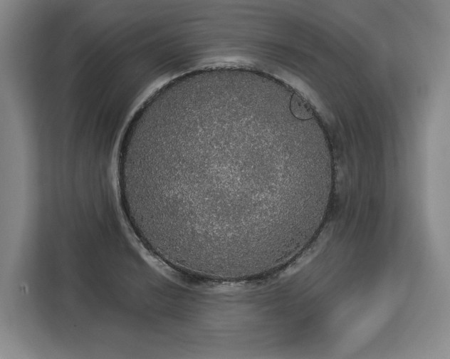 X0000112911038200908311233