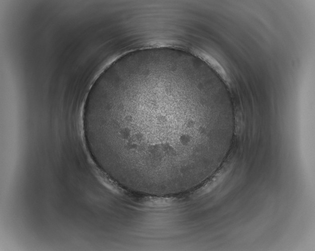 X0000112911039200908311233