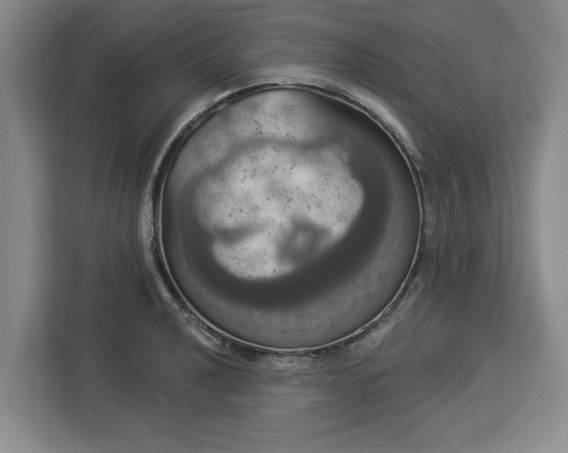 X0000112911040200908311233