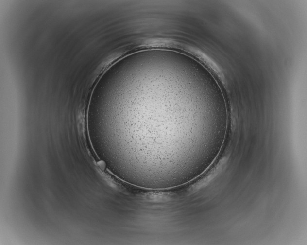 X0000112911041200908311233